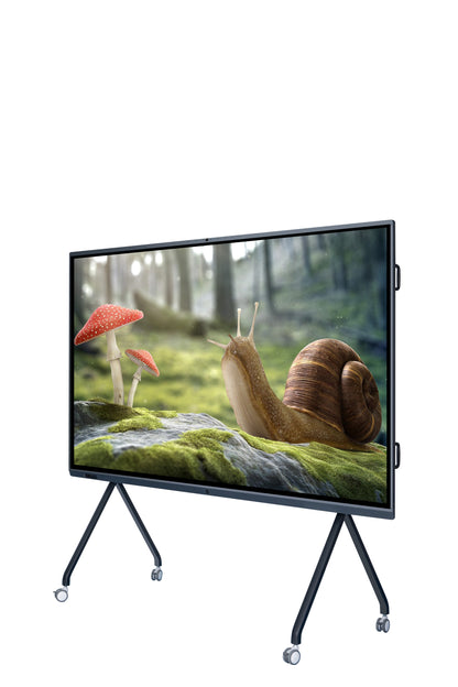 Multimedia TV