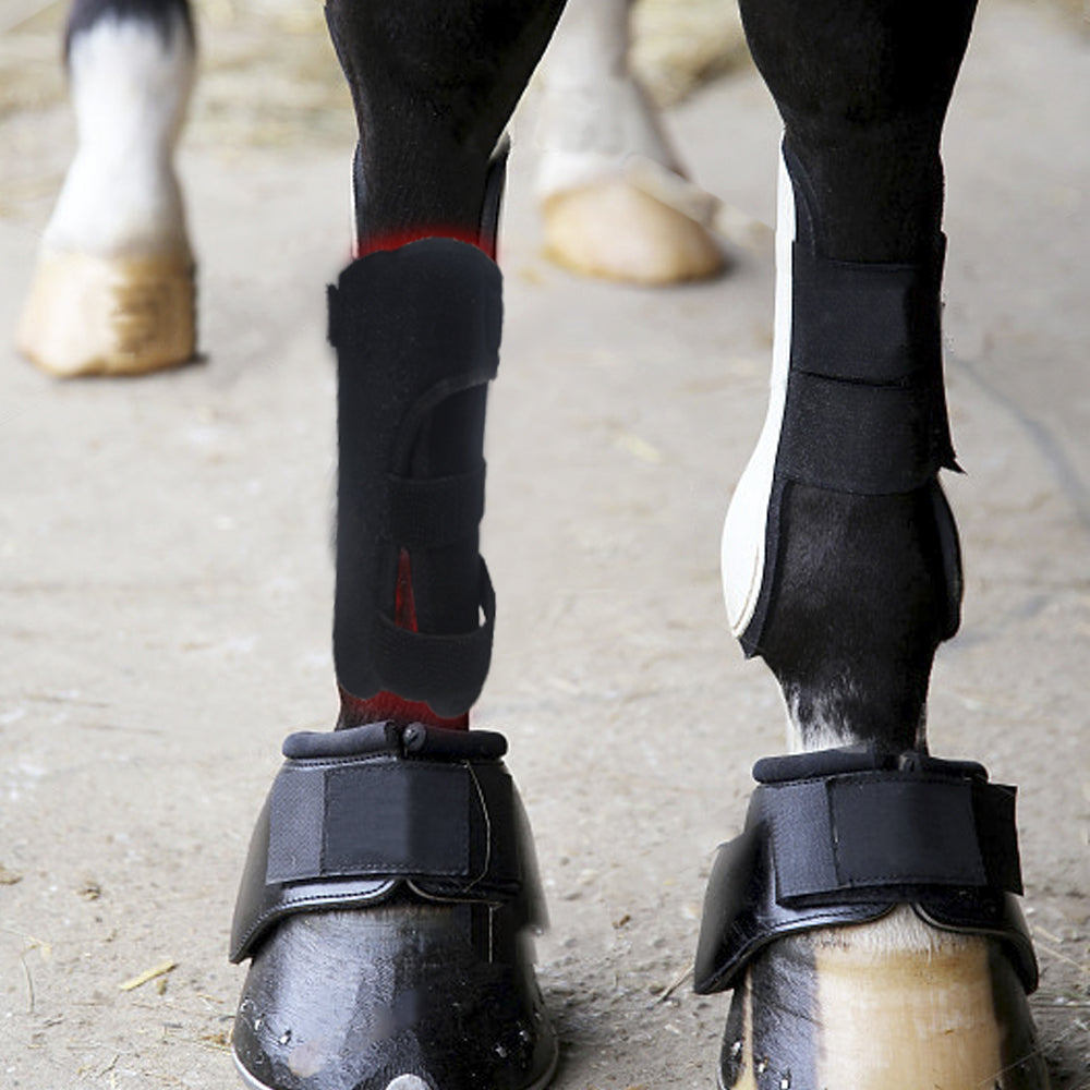 Horse Set
