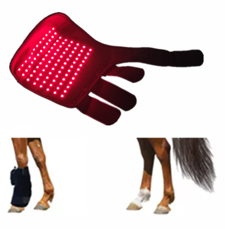 Horse Set