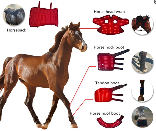 Horse Set
