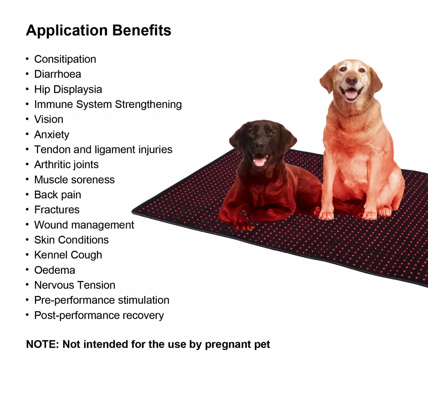 Pet Mat